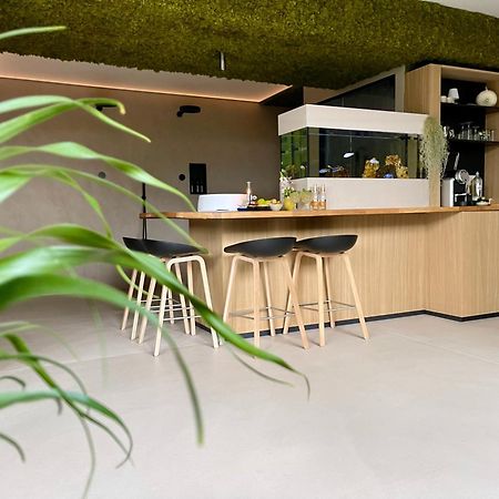 Terp Bed and Breakfast Poperinge Εξωτερικό φωτογραφία