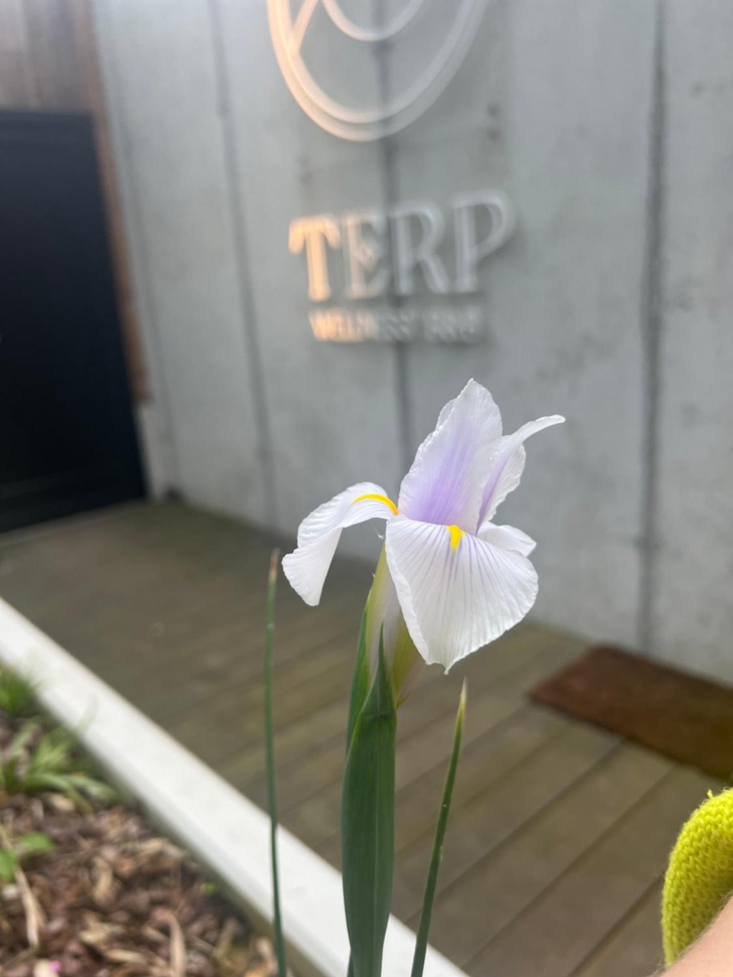 Terp Bed and Breakfast Poperinge Εξωτερικό φωτογραφία